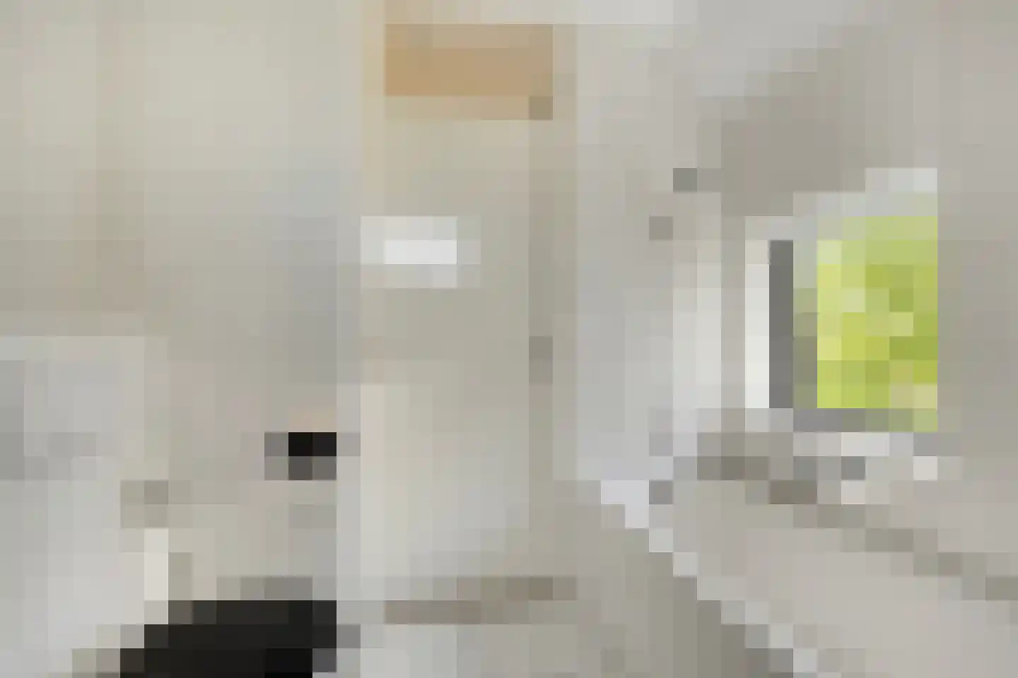 Branding 26 Amstelveen thumbnail 19