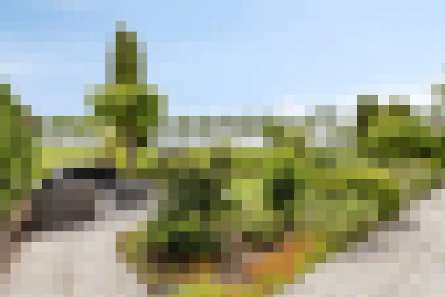 Branding 26 Amstelveen thumbnail 34