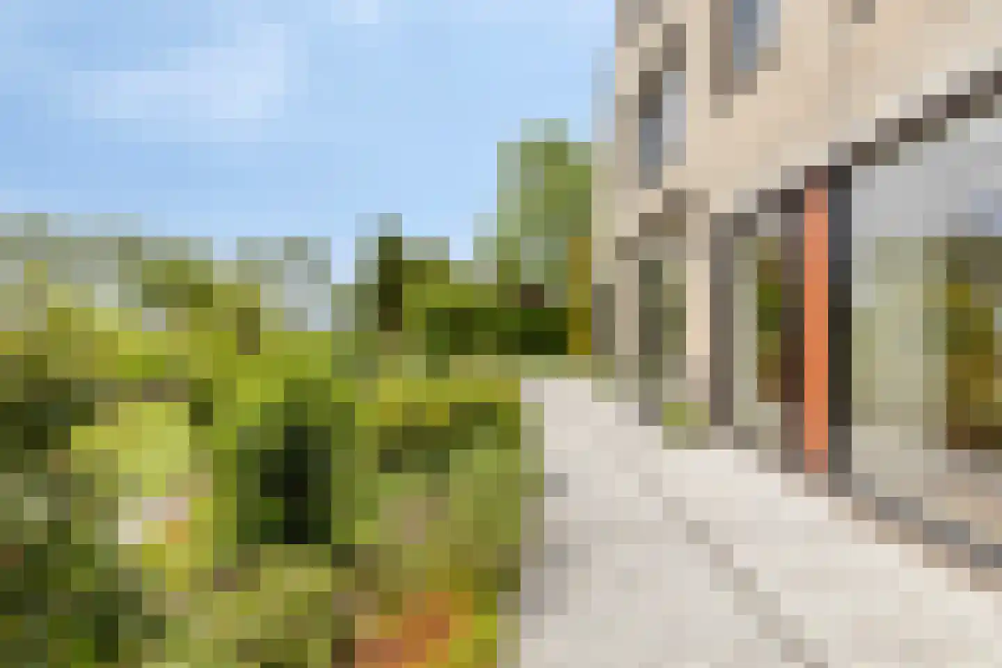 Branding 26 Amstelveen thumbnail 35