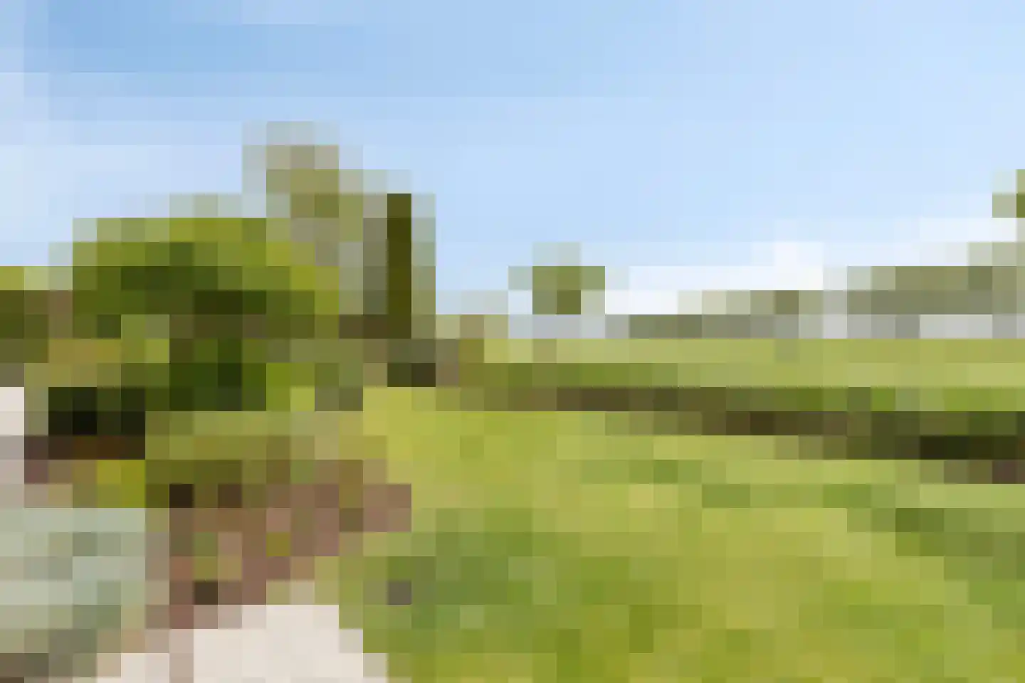 Branding 26 Amstelveen thumbnail 36