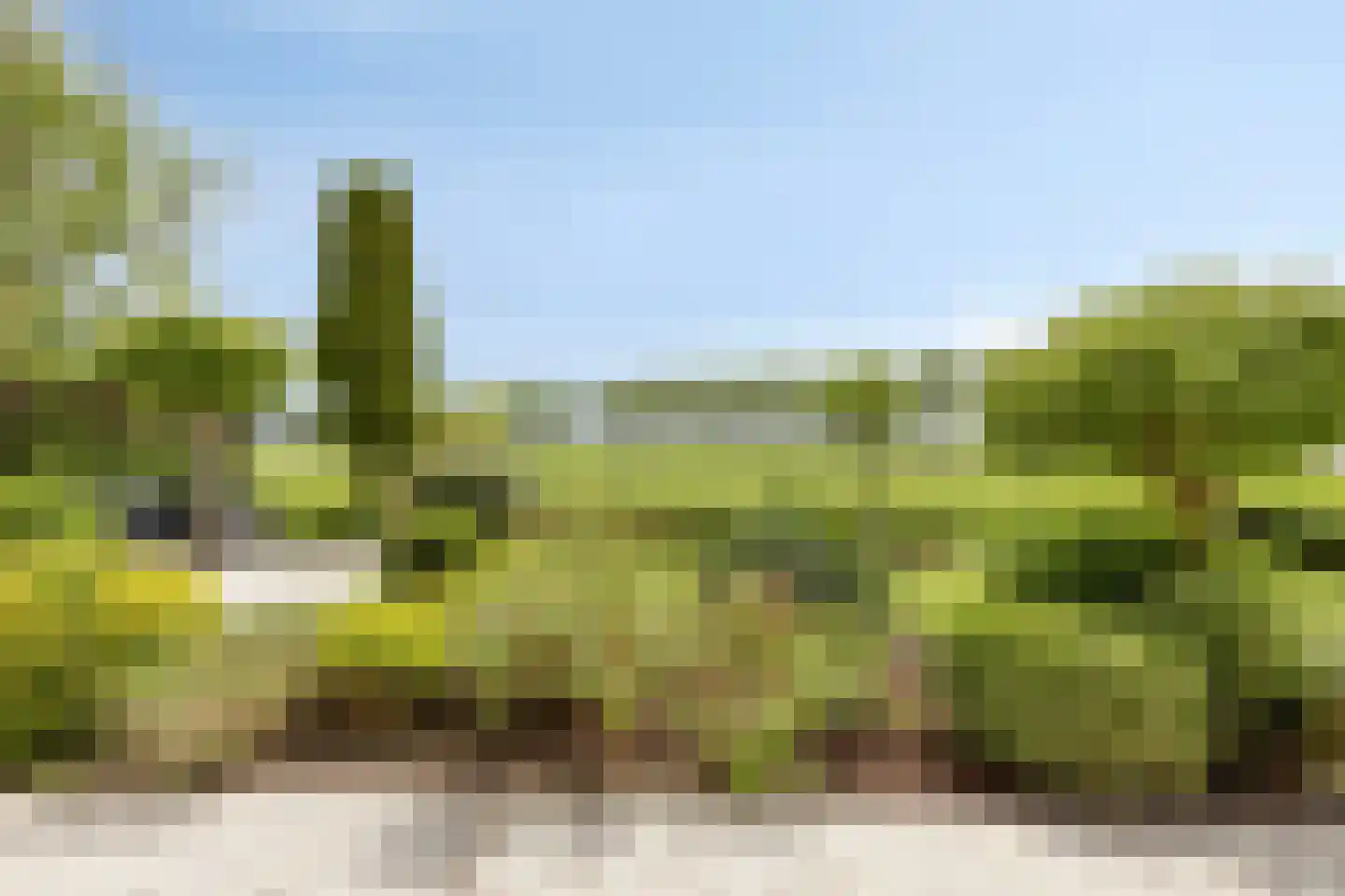 Branding 26 Amstelveen thumbnail 39