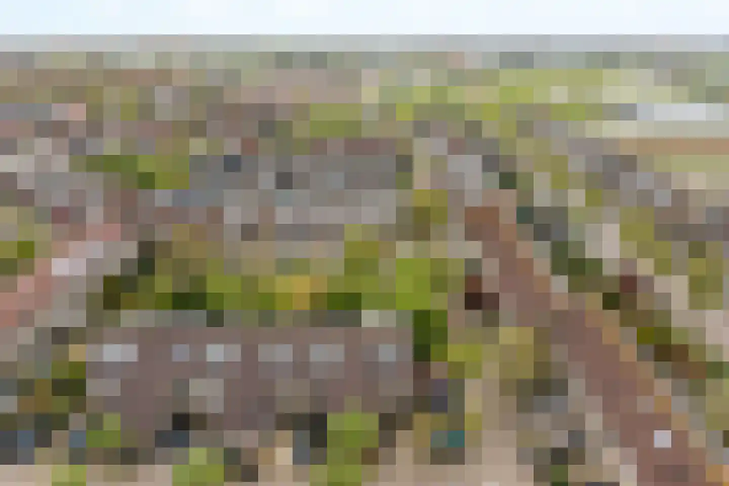 Branding 27 Noordwijk thumbnail 37