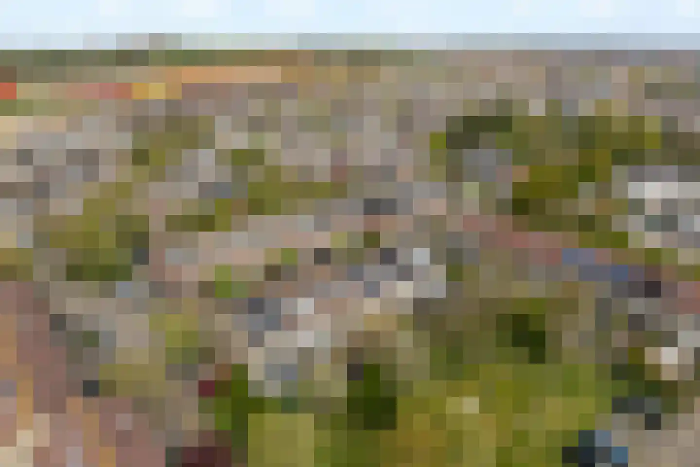 Branding 27 Noordwijk thumbnail 5