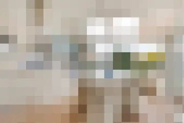 Branding 27 Zoutelande thumbnail 12