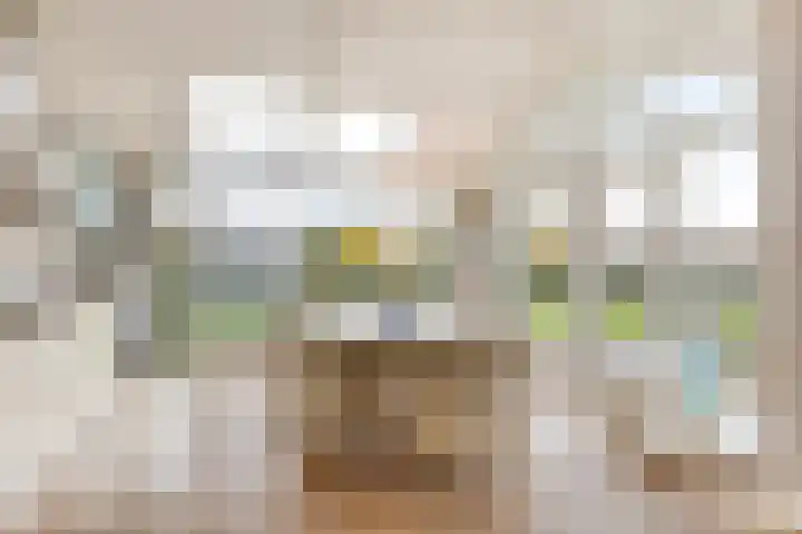 Branding 27 Zoutelande thumbnail 13