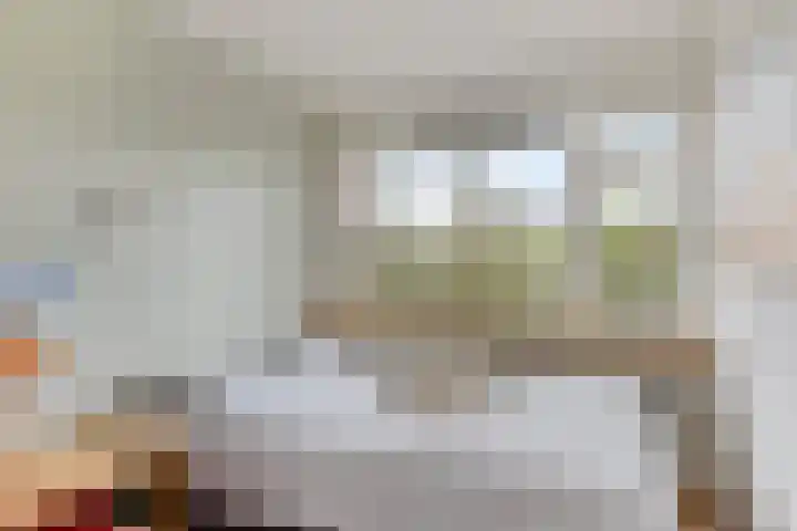 Branding 27 Zoutelande thumbnail 18