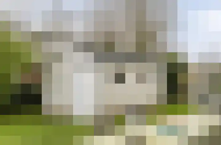 Branding 27 Zoutelande thumbnail 25