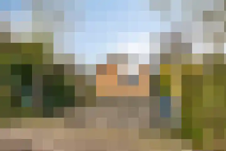 Branding 27 Zoutelande thumbnail 28
