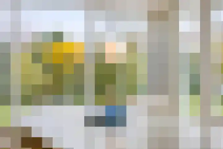 Branding 27 Zoutelande thumbnail 4