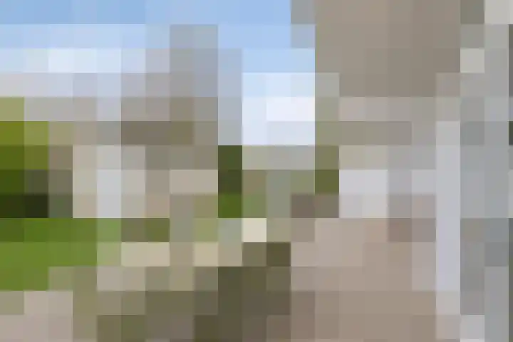 Branding 27 Zoutelande thumbnail 5