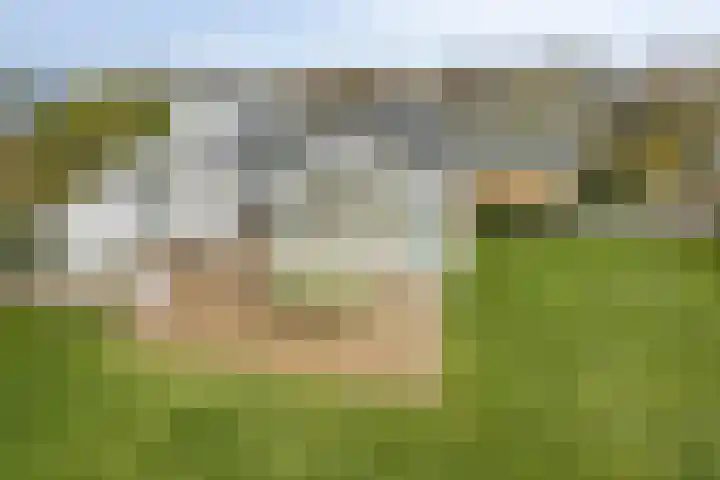 Branding 27 Zoutelande thumbnail 8
