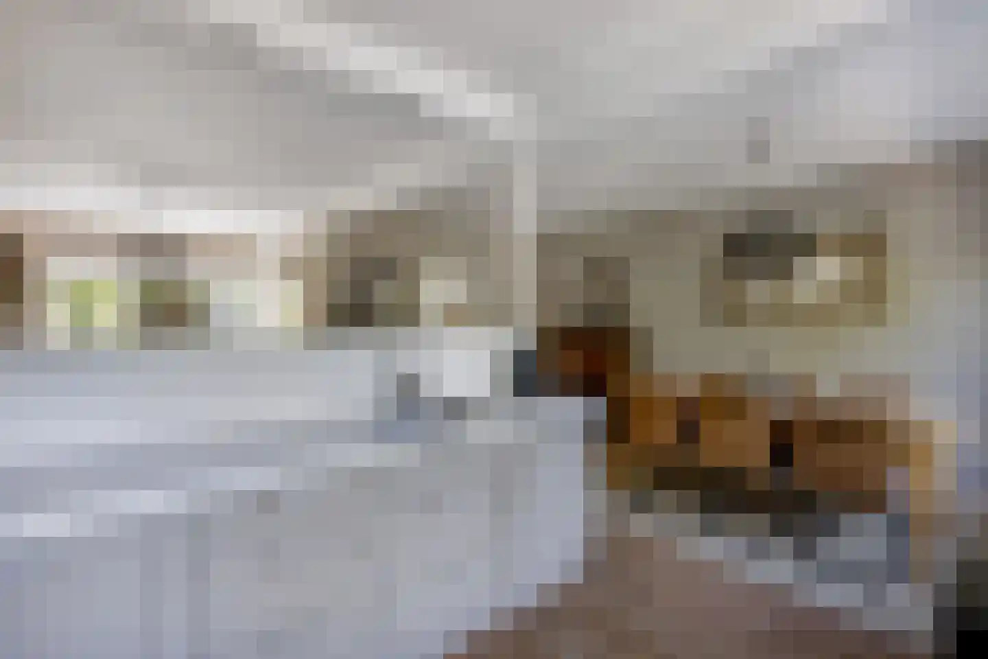 Branding 4 Huizen thumbnail 12