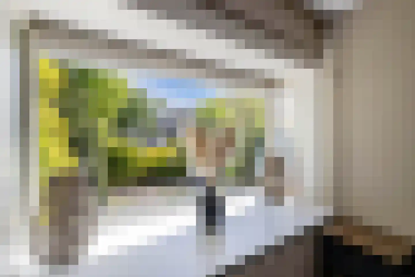 Branding 4 Huizen thumbnail 15