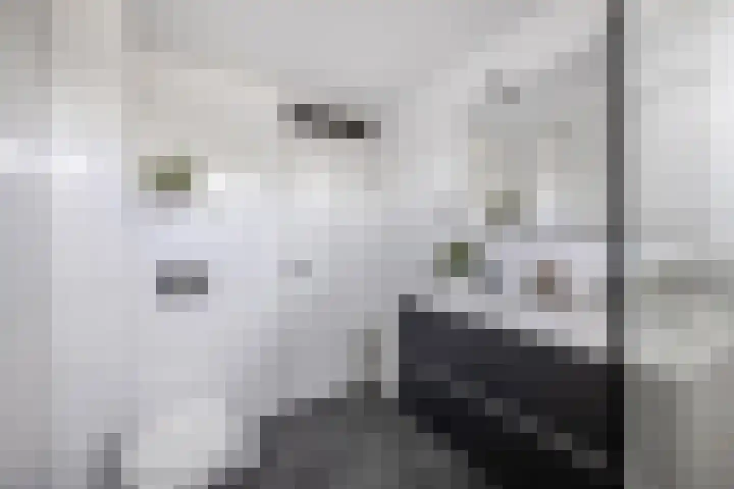 Branding 4 Huizen thumbnail 23