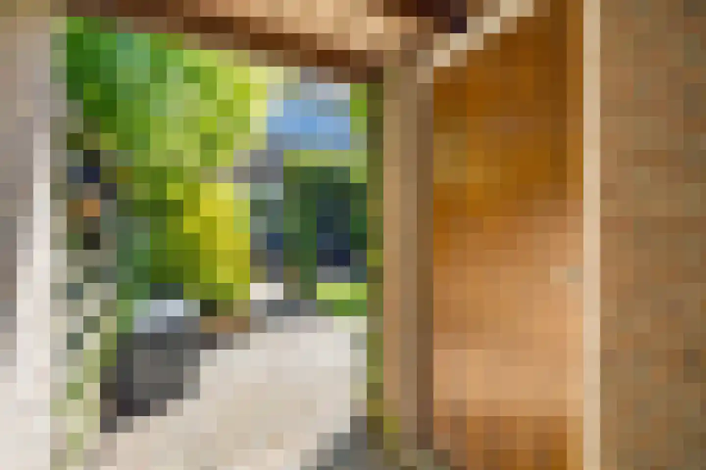 Branding 4 Huizen thumbnail 29