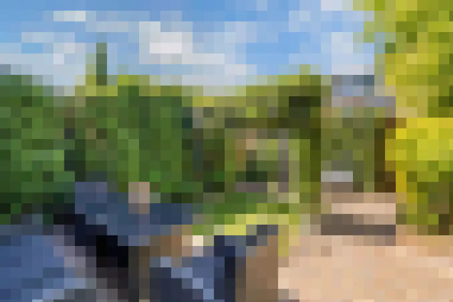 Branding 4 Huizen thumbnail 30