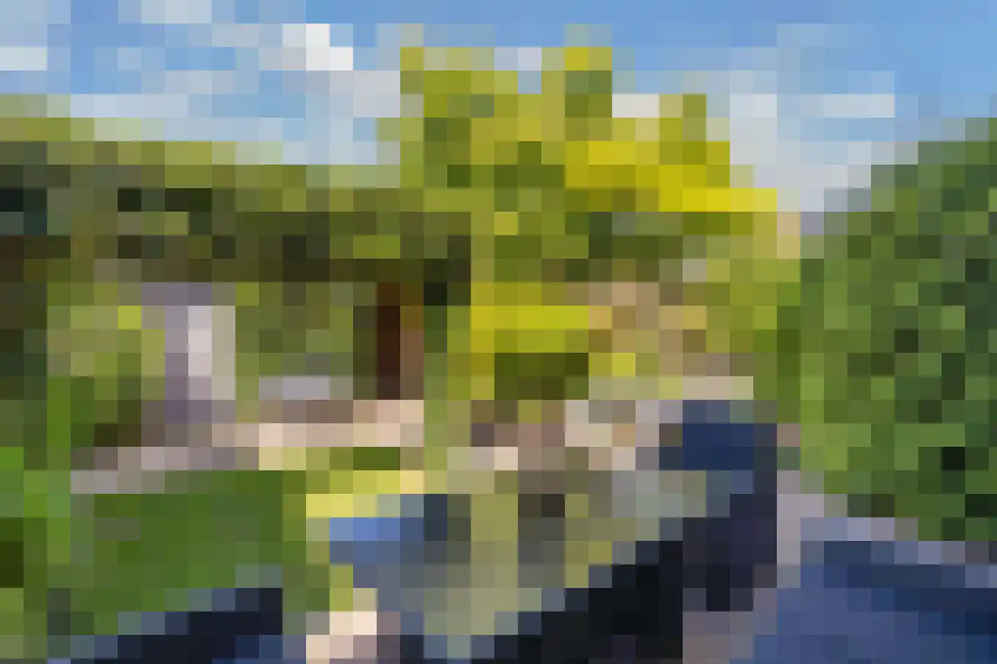 Branding 4 Huizen thumbnail 31