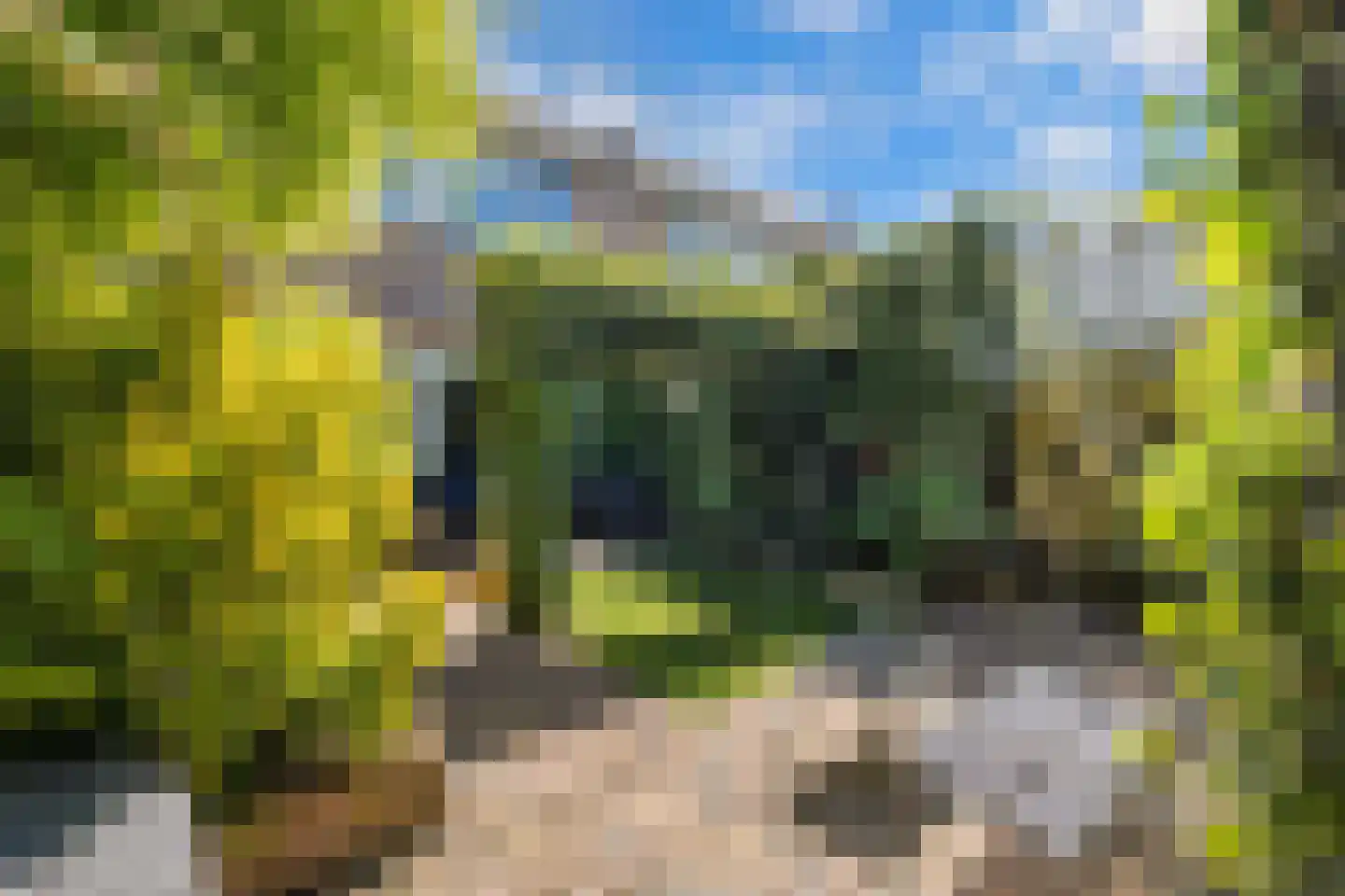 Branding 4 Huizen thumbnail 32