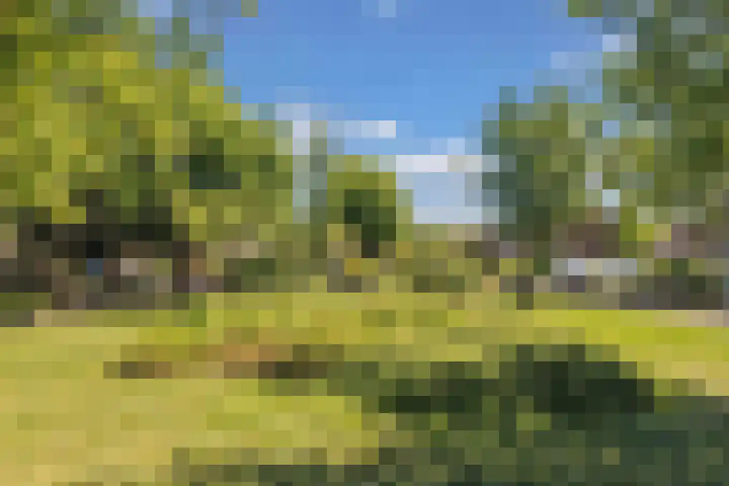 Branding 4 Huizen thumbnail 34
