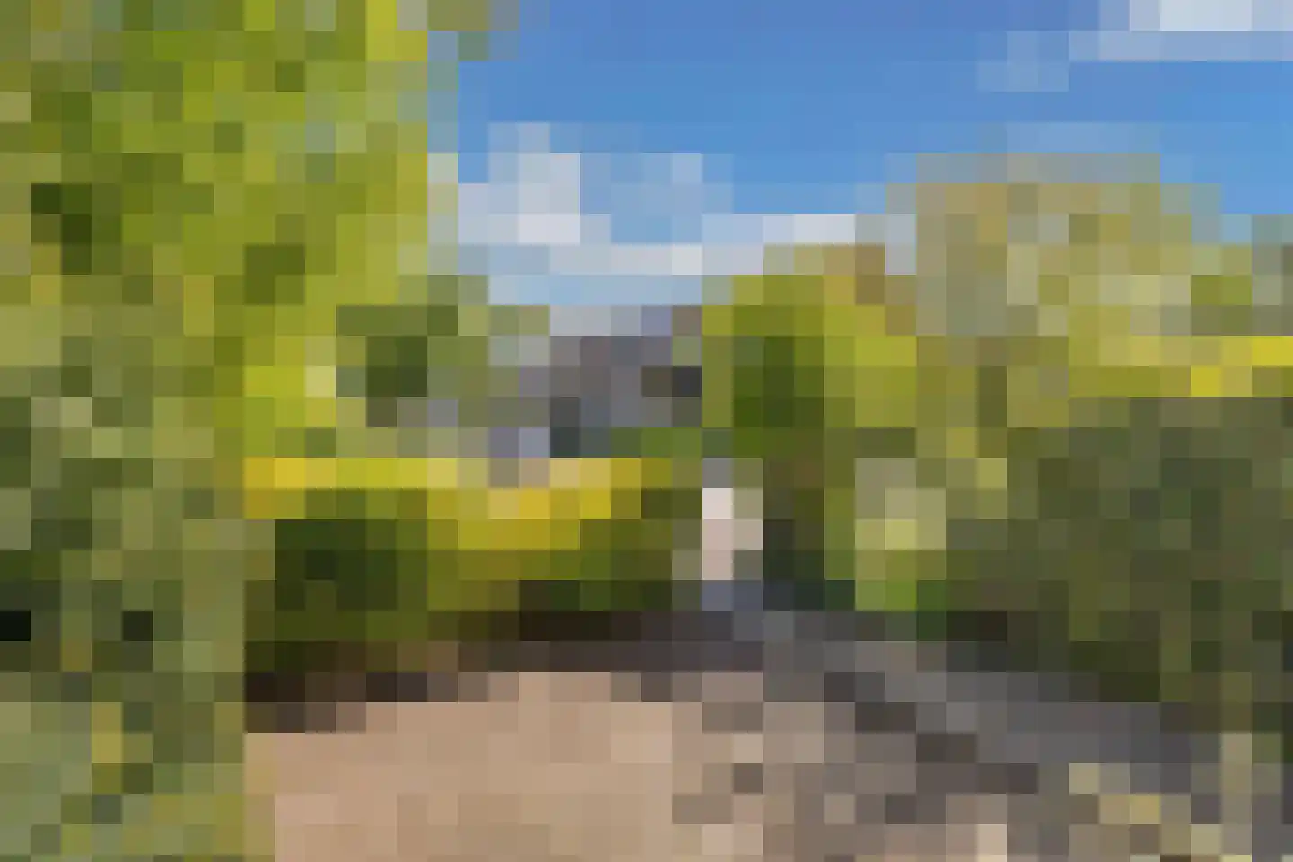 Branding 4 Huizen thumbnail 4