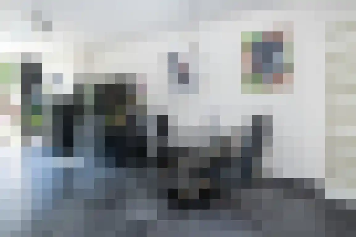 Branding 8 Hellevoetsluis thumbnail 13