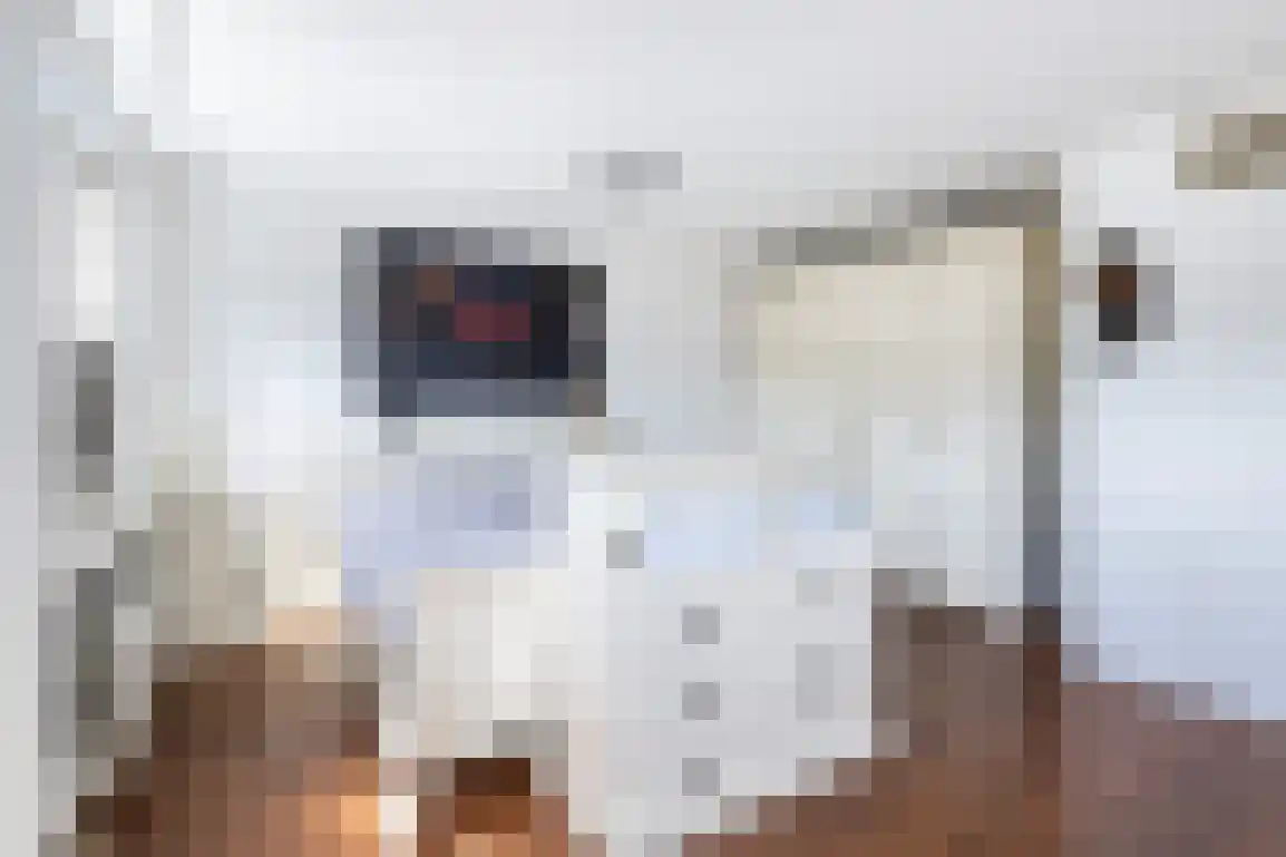 Branding 8 Hellevoetsluis thumbnail 21