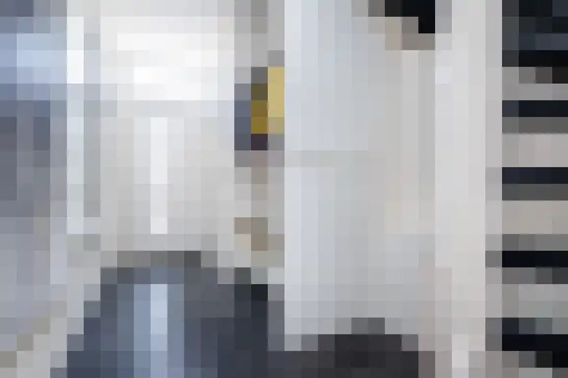 Branding 8 Hellevoetsluis thumbnail 6