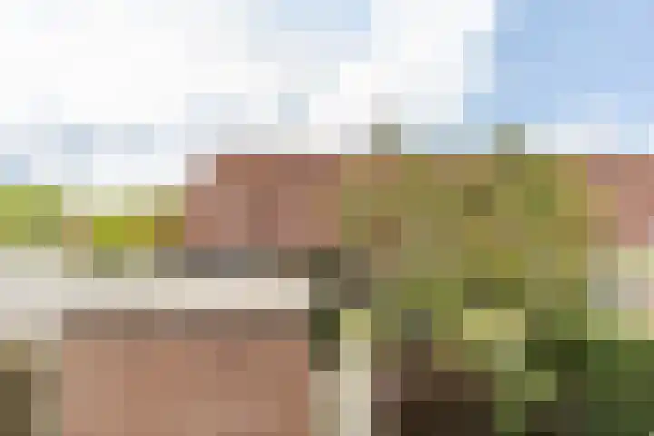 Branding 81 Hellevoetsluis thumbnail 23