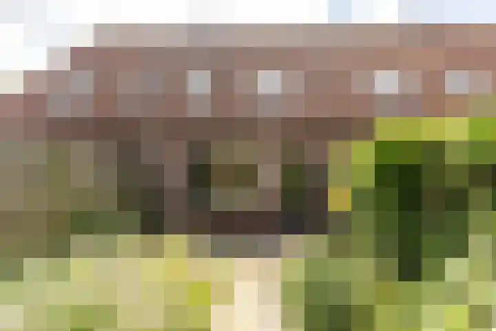 Branding 81 Hellevoetsluis thumbnail 4