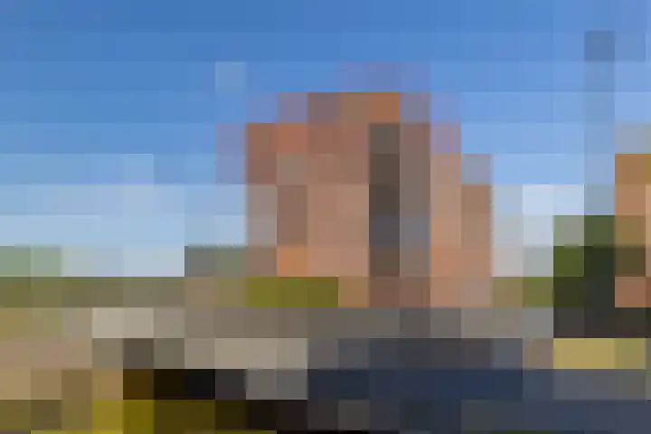 Brandingdijk 202 Rotterdam thumbnail 6