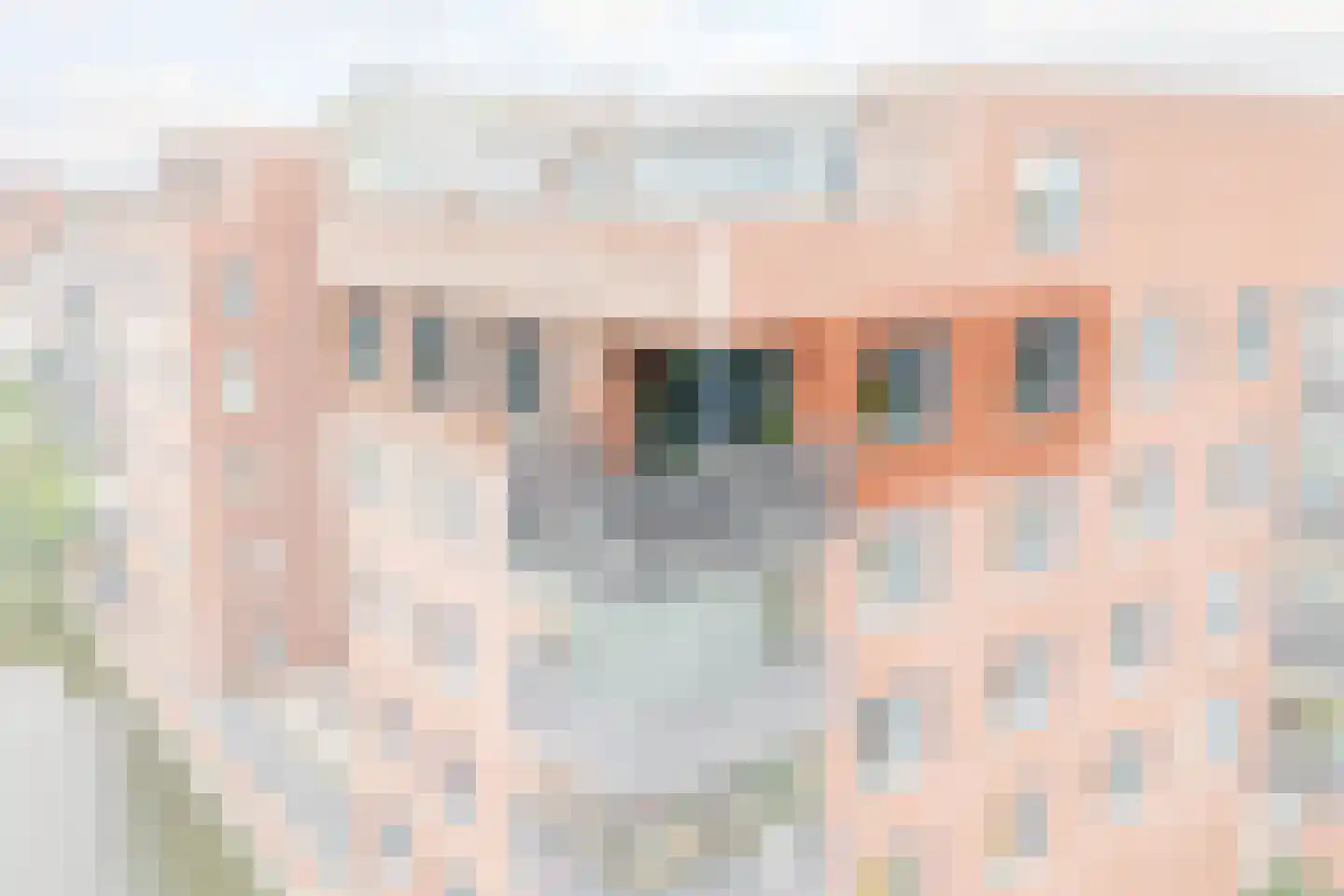 Brandingdijk 250 Rotterdam thumbnail 5