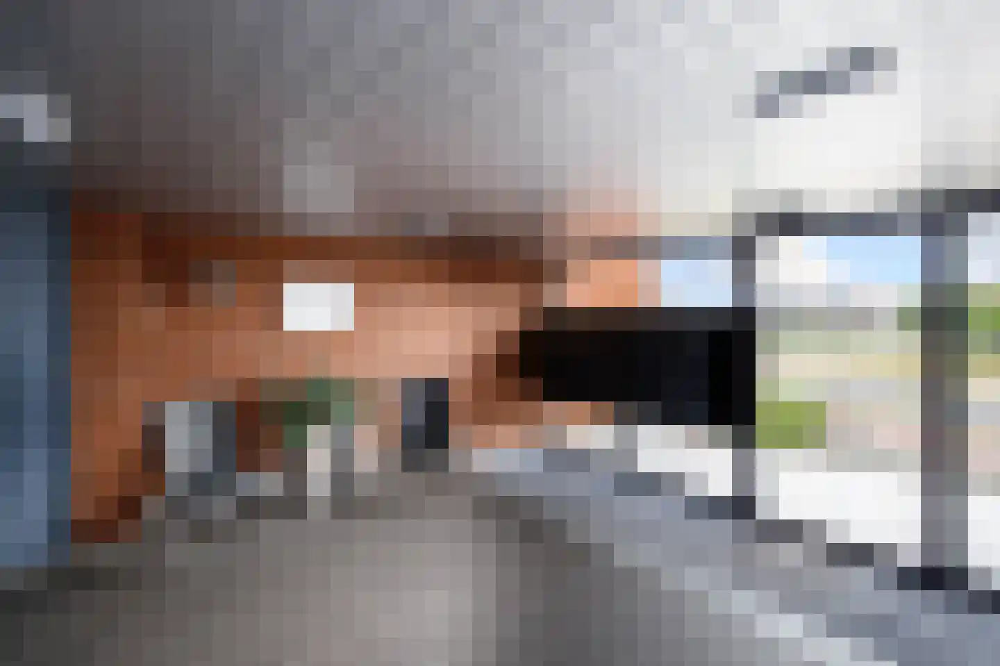 Brandingdijk 250 Rotterdam thumbnail 8