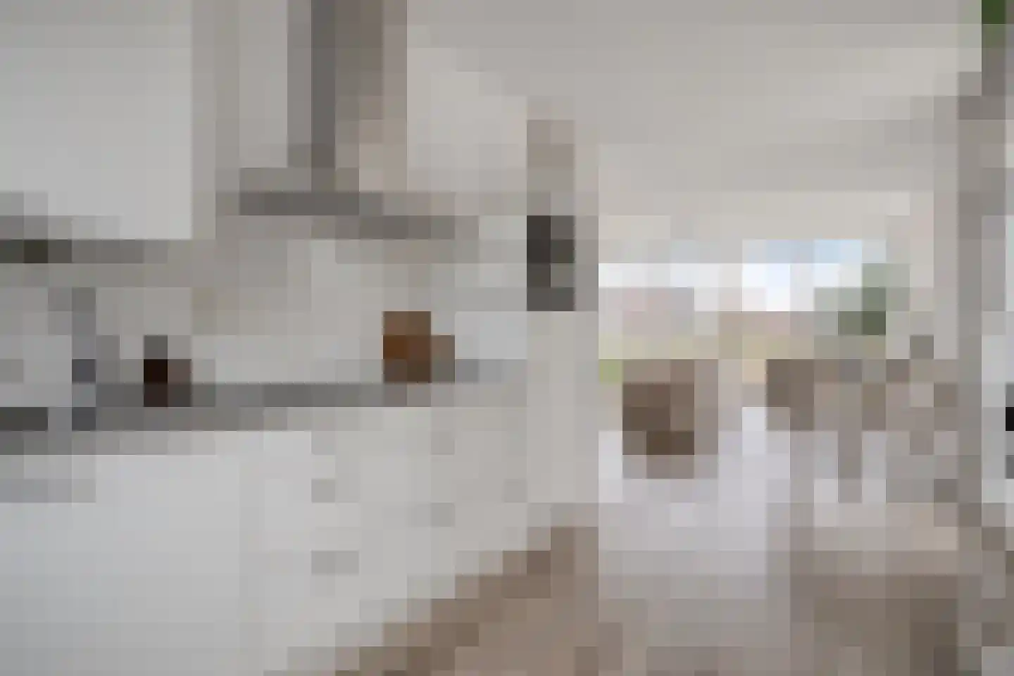 Brandingdijk 362 Rotterdam thumbnail 15