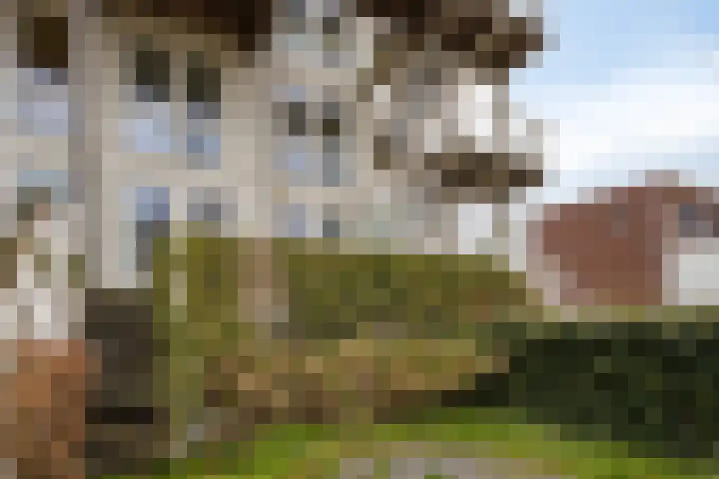 Brandingdijk 362 Rotterdam thumbnail 28