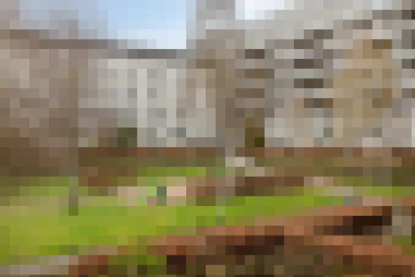 Brandingdijk 362 Rotterdam thumbnail 31