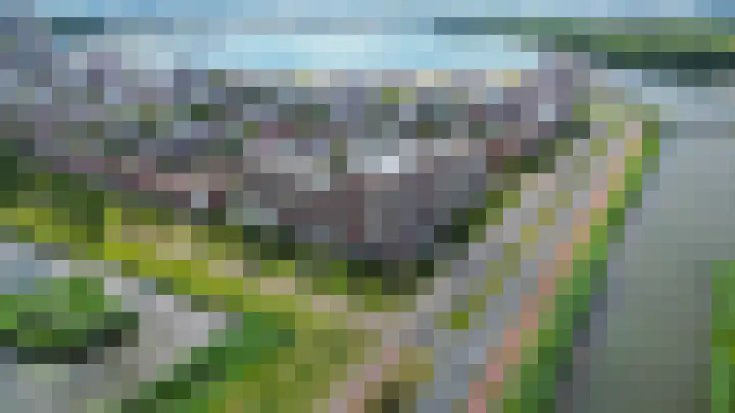 Brandingdijk 400 Rotterdam thumbnail 35