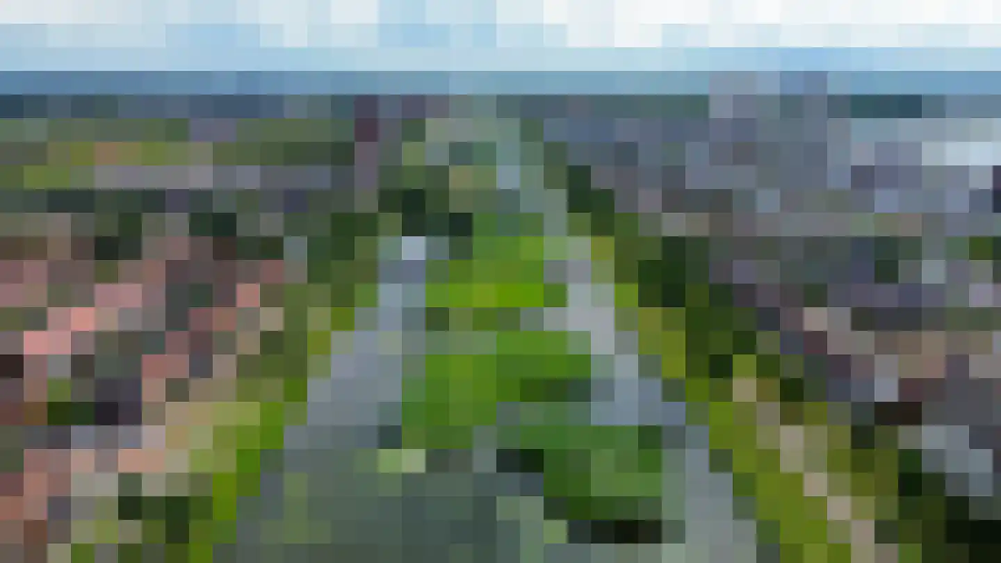 Brandingdijk 406 Rotterdam thumbnail 33