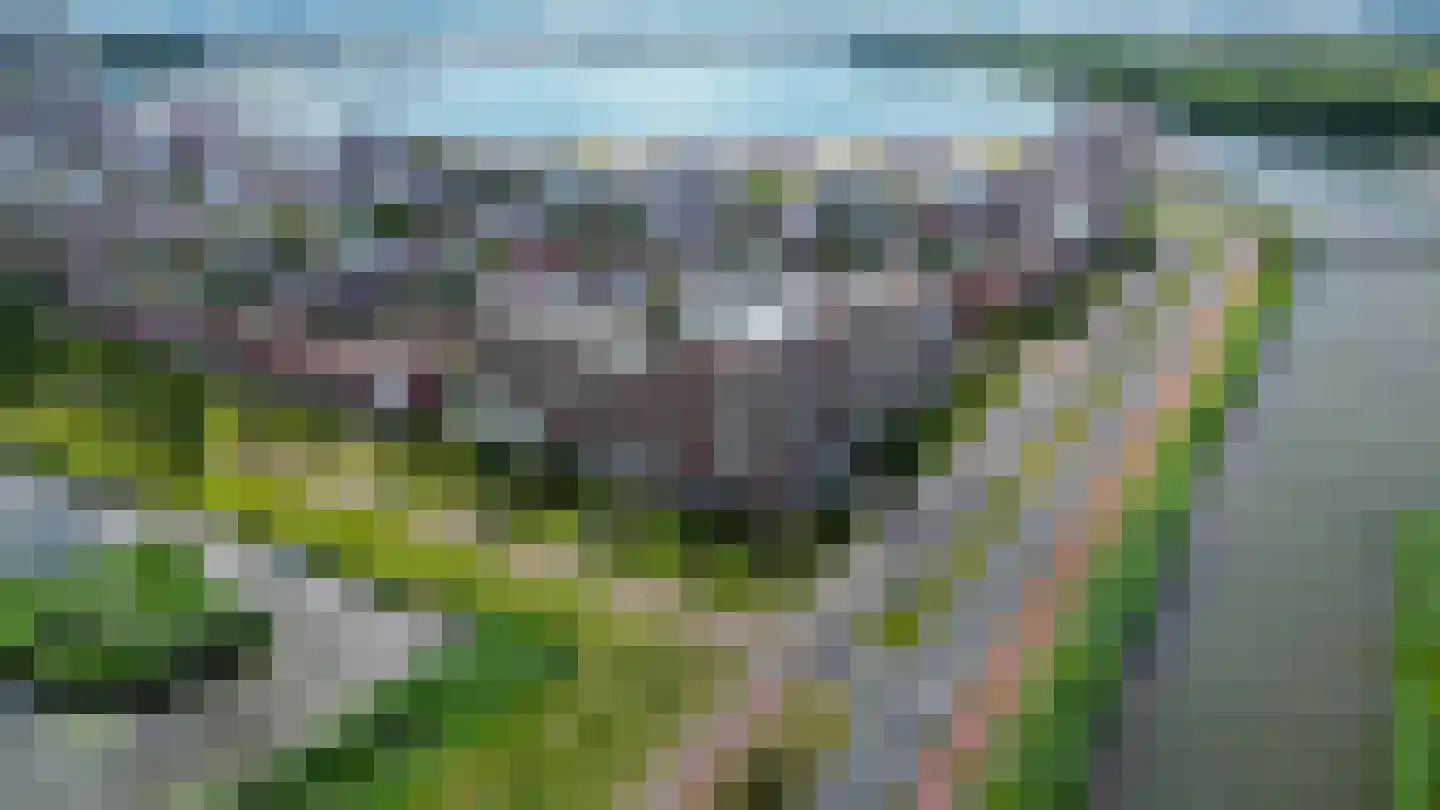 Brandingdijk 406 Rotterdam thumbnail 34