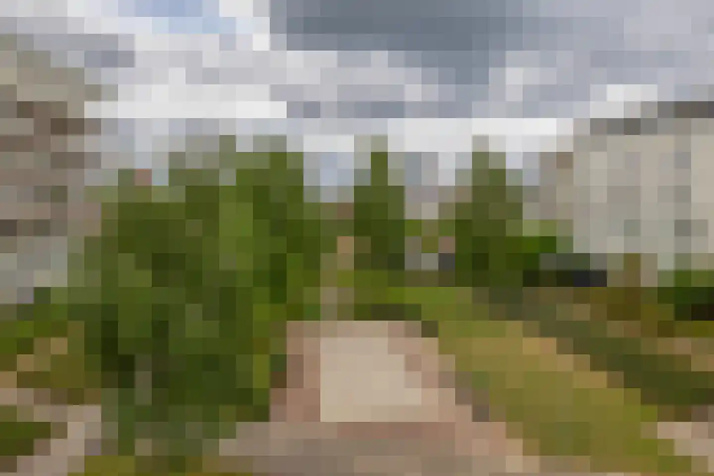 Brandingdijk 406 Rotterdam thumbnail 6