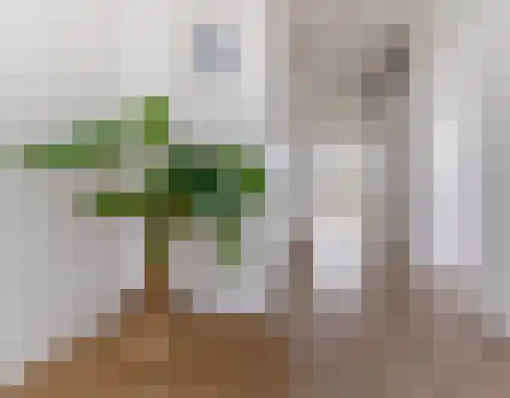Brandingdijk 420 Rotterdam thumbnail 19