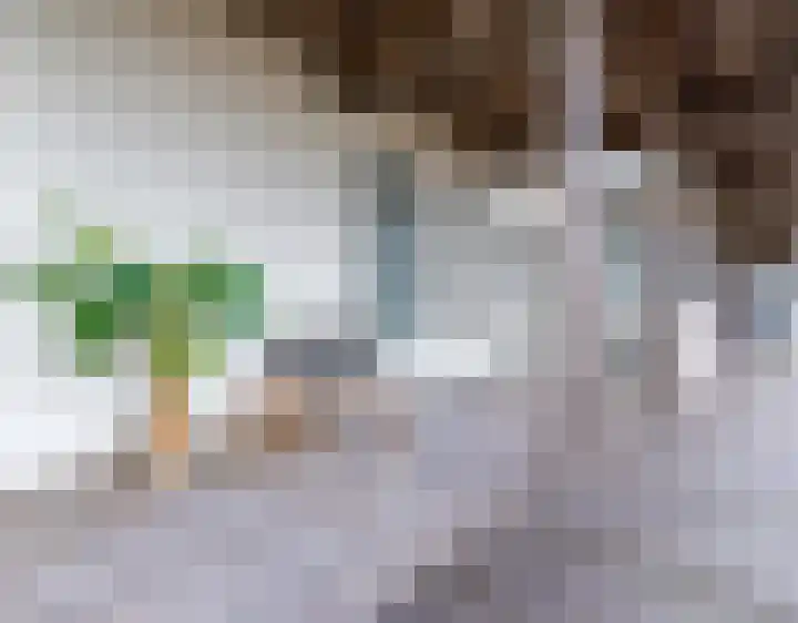 Brandingdijk 420 Rotterdam thumbnail 21