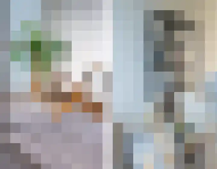 Brandingdijk 420 Rotterdam thumbnail 23