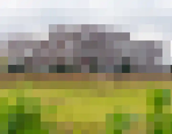 Brandingdijk 420 Rotterdam thumbnail 27