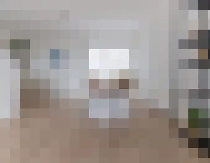 Brandingdijk 420 Rotterdam thumbnail 6