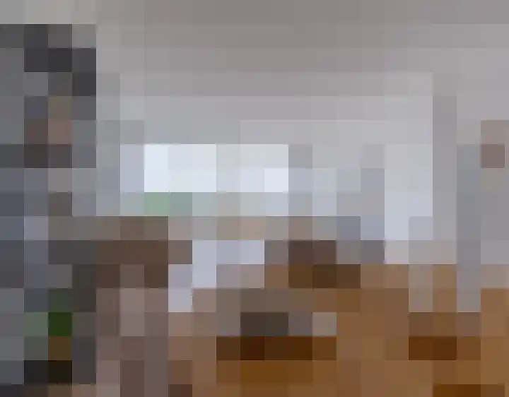 Brandingdijk 420 Rotterdam thumbnail 7