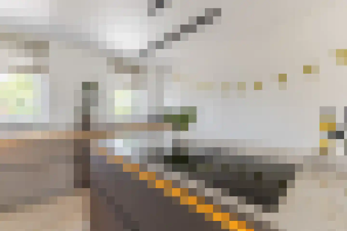 Brandingdijk 68 Rotterdam thumbnail 7