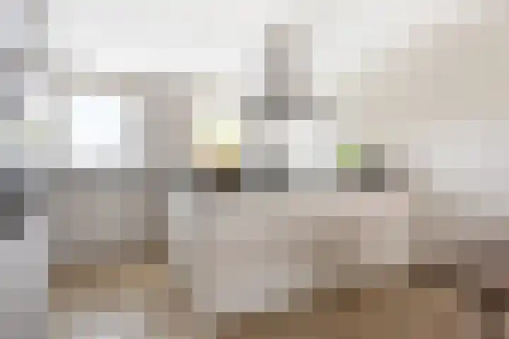 Brandingdijk 98 Rotterdam thumbnail 16