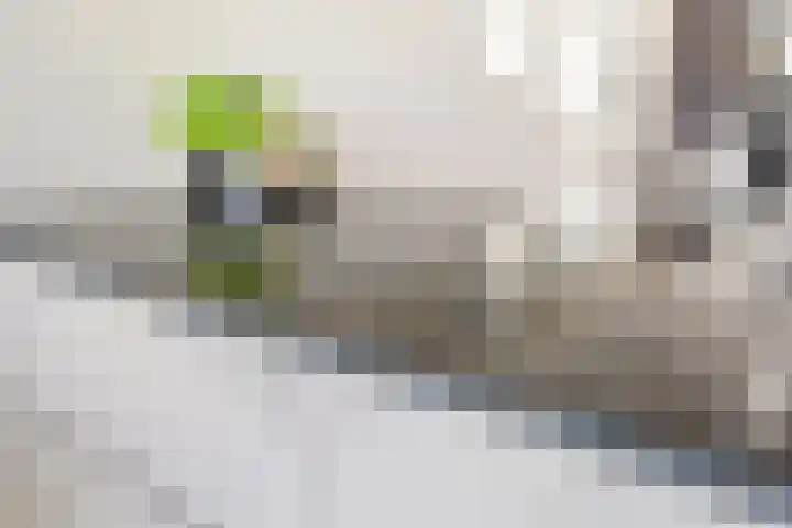 Brandingdijk 98 Rotterdam thumbnail 19