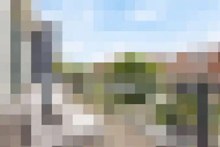 Brandingdijk 98 Rotterdam thumbnail 22