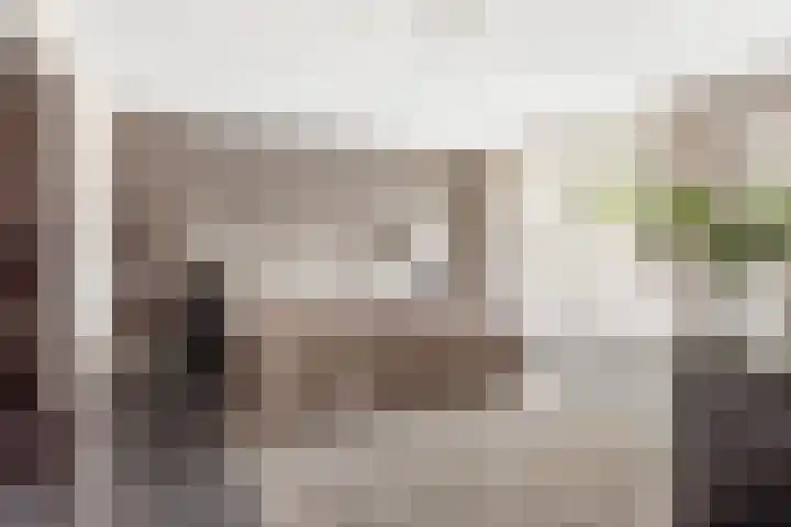 Brandingdijk 98 Rotterdam thumbnail 33